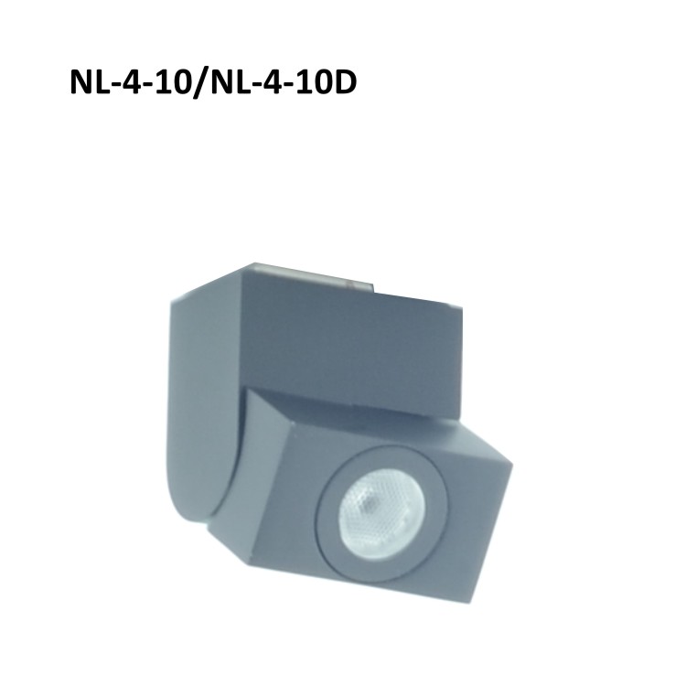 NL-4-10-1.jpg